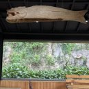 창의문로 이미지