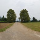 김세종농장 이미지