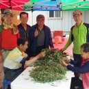 반갑소2농장 이미지