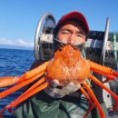 공현진 민박 이미지