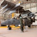 정비나라 이미지