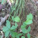 오늘의 선물 이미지