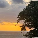 발리헬스클럽 | 오션뷰 리조트 발리 알릴라 스미냑, 풀억세스 디럭스 룸 후기