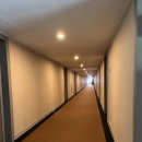 패밀리파크빌리지 | 오션월드 숙소 | 홍천 소노벨 비발디파크 B동 패밀리 스위트 후기 | 예약 꿀팁