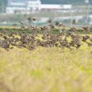 풍년밥상 이미지