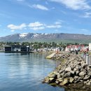 이식대교 인근 공중화장실 11-10-2 | [MSC Preziosa] MSC '프레지오사'호 크루즈여행 후기 - (11) 아이슬란드 아퀴레이리(Akureyri) 여행