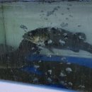 오꾸리모노하코 이미지