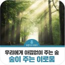 아낌없이주는숲연구소 네이버블로그