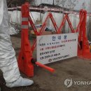 양성농장(1) 이미지