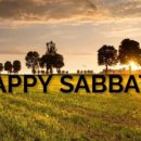 덕성초교 이미지