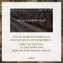 가학축산 네이버블로그