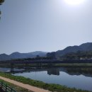 대차리 남대천변 이미지