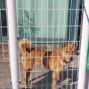 오복옥사우나 이미지