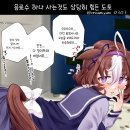 도토 이미지