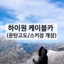 곤지암(정선네) | 운탄고도 케이블카 (가격, 후기, 하이원 스키장 개장/ 하이원리조트 정상뷰)