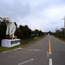 NR-3[평화로]-하-792 | 제주도 아이와 가볼만한곳 점보빌리지 코끼리 퍼레이드