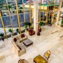 호텔 펄리 이미지