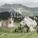 죽전 쿨펫동물병원 이미지