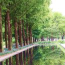 연못 속 풍경 이미지