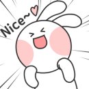 보코이 이미지