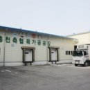 홍천축협육가공공장 Daum카페