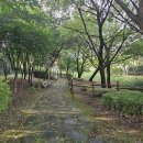 세마탑공인중개사사무소 이미지