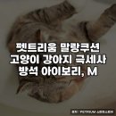 말랑 네이버블로그