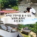 묘적사 - 1083 | 남양주 가볼만한 곳 귀여운 고양이를 볼 수 있는 묘적사 방문 후기!