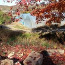 태평농장 이미지