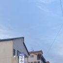 어디손물회 이미지