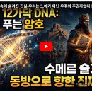'정크 DNA' 속에 숨겨진 진실-우리는 노예가 아닌 우주의 주권자였다ㅣ[제4편] 지워진 가계도 이미지