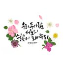 색연필 붓펜 그림 손글씨 | 캘리그라피 온라인 강의 : 악필도 괜찮아 캘리그래피 [초급] 커리큘럼