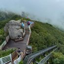 모노랜드 이미지