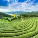 보성핸드폰 이미지