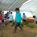 경희초등학교 이미지