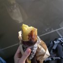 바다와고래 | [일본 오키나와 여행] 혹등고래 스웜, 스노클링 투어 후기 및 팁, 1월 바다 날씨