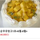 크림라벨 이미지