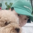 맨앤독 애견카페 이미지