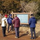 더제주스토리