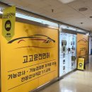 고고운전면허수원