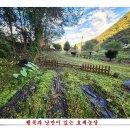 장화농장2 이미지