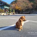 응석사주차장 이미지