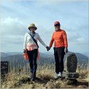 산업도로변 | 제주 100대 오름 오르기(1)