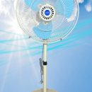 동우열전 이미지