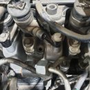 털보카모터스 이미지