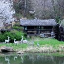 시노래 페스티벌 이미지