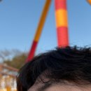 수현동물병원 | 경주여행 그리고 대추밭백한의원