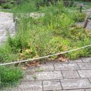 신동근린공원 이미지