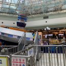 D00008 | 2년만에 재방문 ! 홍천 비발디파크 올인클루시브 7개월/5세 아이랑 이용후기 :D