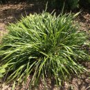 대주2농장 이미지